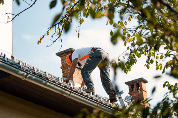 Best New Roof Installation  in Osakis, MN