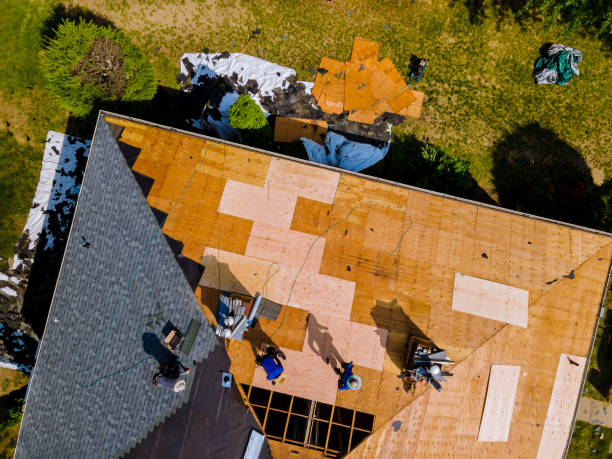Best Best Roofing Contractors  in Osakis, MN