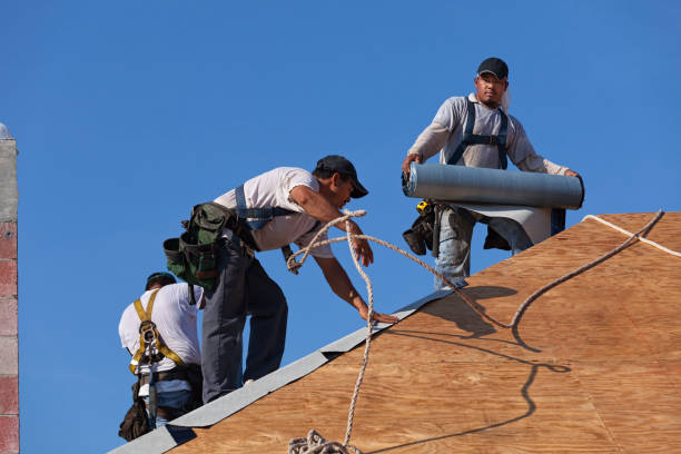 Best Best Roofing Contractors  in Osakis, MN
