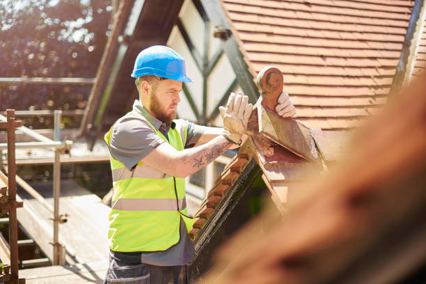 Best Residential Roof Replacement  in Osakis, MN